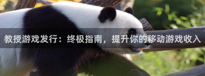 新城平台注册网址是什么：教授游戏发行：终极指南，提升你的移动游戏收入