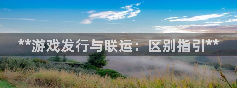 新城平台注册登录地址是什么：**游戏发行与联运：区别指引**