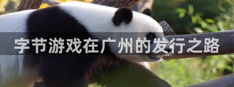 新城平台登录入口官网下载手机版：字节游戏在广州的发行之路