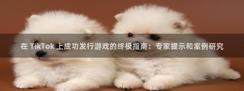 新城平台平台最新活动有哪些：在 TikTok 上成功发行游戏的终极指南：专家提示和案例研究