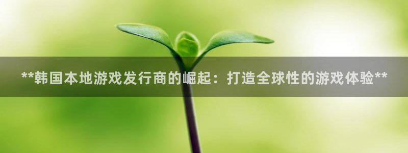 新城平台官网首页入口：**韩国本地游戏发行商的崛起：打造全球性的游戏体验**