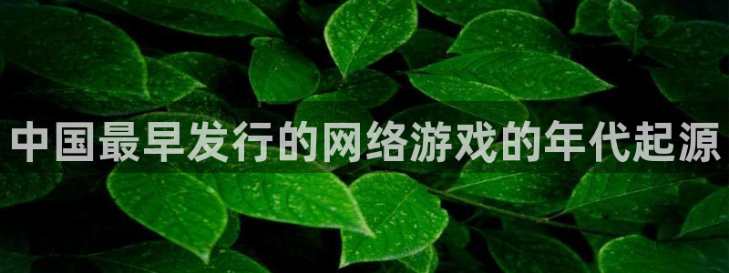 新城平台属于哪个系列：中国最早发行的网络游戏的年代起源