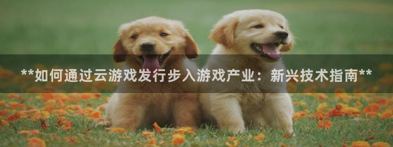 新城平台绝7O777：**如何通过云游戏发行步入游戏产业：新兴技术指南**