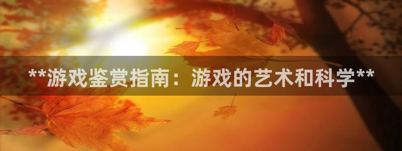 新城平台登录入口官网网址是多少：**游戏鉴赏指南：游戏的艺术和科学**