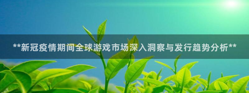 新城平台登录入口网址：**新冠疫情期间全球游戏市场深入洞察与发行趋势分析**