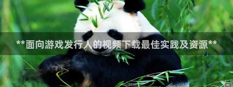 新城平台终7O777：**面向游戏发行人的视频下载最佳实践及资源**