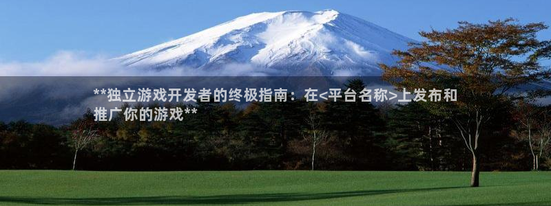 新城平台注册登录地址怎么填：**独立游戏开发者的终极指南：在<平台名称>上发布和
推广你的游戏**