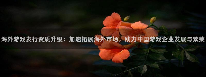 新城平台登录入口官网查询