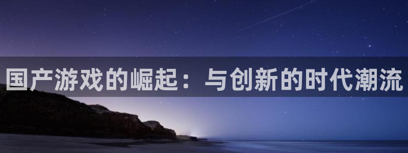 新城平台登录入口官网