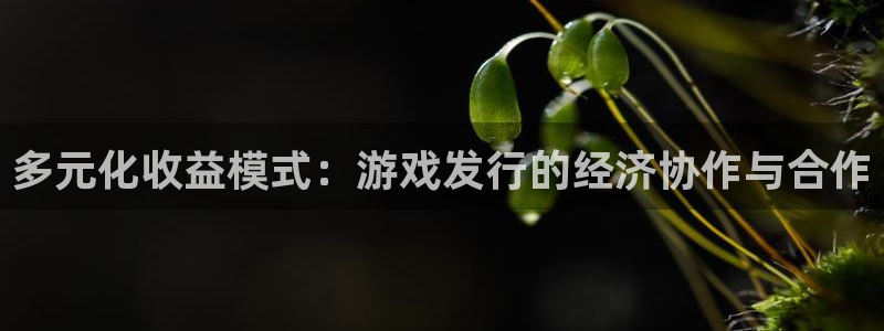 新城平台记7O777