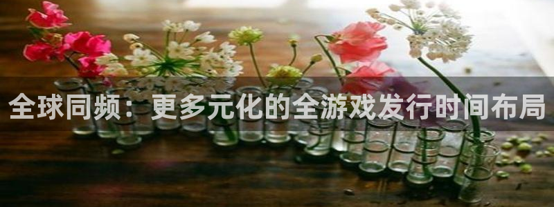 新城平台注册公司流程视频