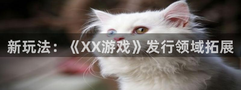 新城平台注册流程及费用