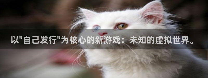新城平台注册资金多少钱