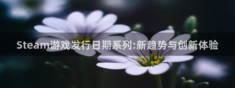 新城平台注册资金多少合适