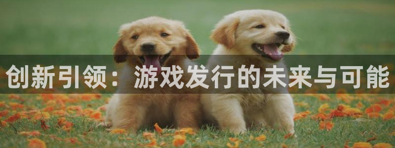 新城平台官网首页入口