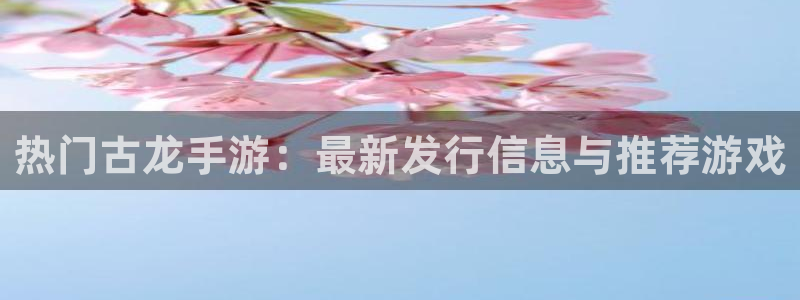 新城平台终7O777