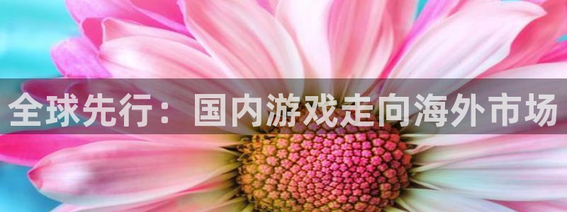 新城平台登录入口官网网址是多少