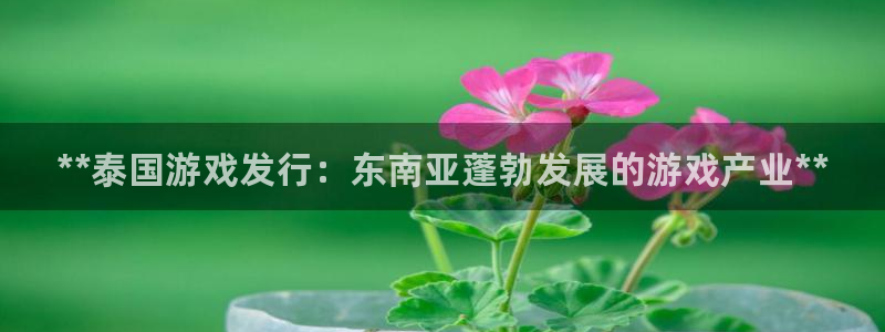 新城平台新注册：**泰国游戏发行：东南亚蓬勃发展的游戏产业**