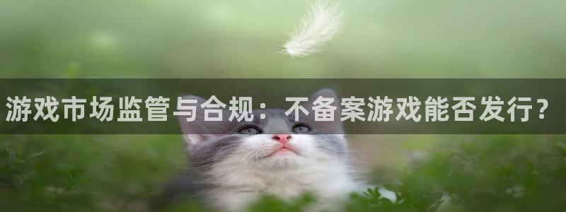 新城平台登录入口官网网址是多少