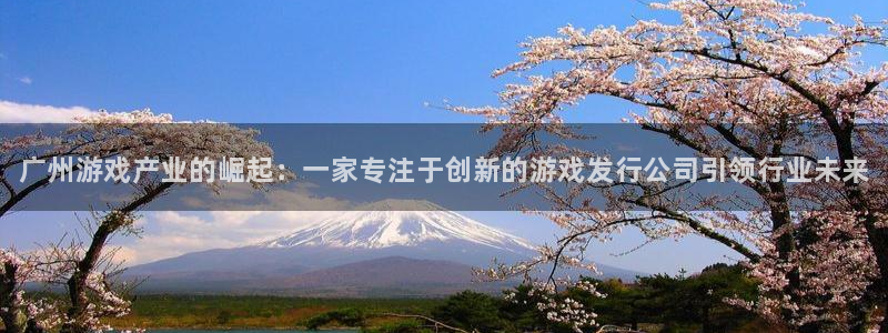 新城平台代理
