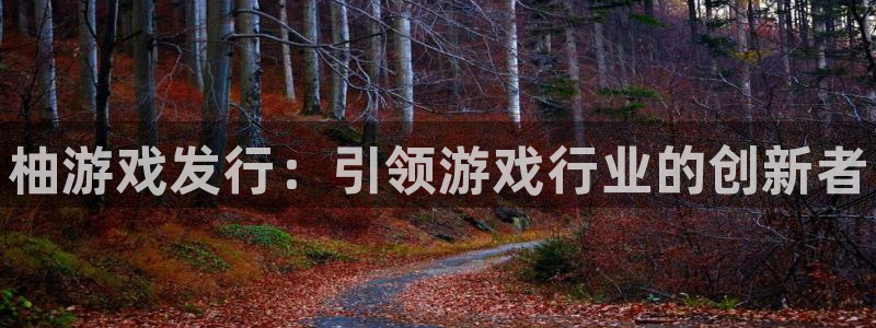 新城平台官网注册流程：柚游戏发行：引领游戏行业的创新者