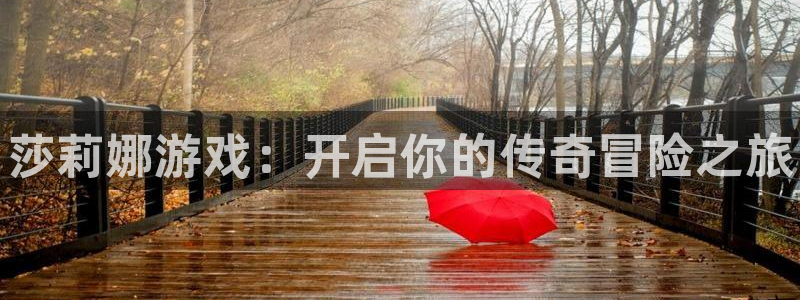 新城平台登录密码忘了：莎莉娜游戏：开启你的传奇冒险之旅