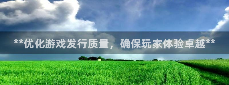 新城平台登录入口官网下载手机版：**优化游戏发行质量，确保玩家体验卓越**