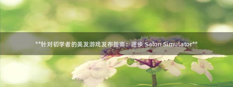 新城平台注册资金多少合适：**针对初学者的美发游戏发布指南：逐步 Salon Simulator**