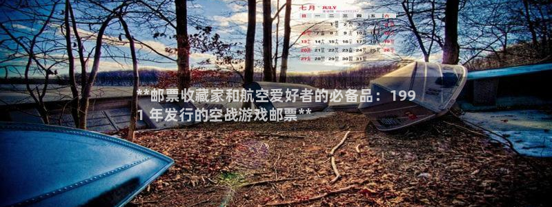 新城平台是干嘛的公司：**邮票收藏家和航空爱好者的必备品：199
1 年发行的空战游戏邮票**