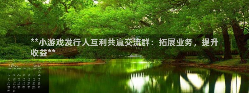 新城平台是干嘛的公司啊：**小游戏发行人互利共赢交流群：拓展业务，提升
收益**