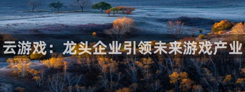 新城平台日7O777：云游戏：龙头企业引领未来游戏产业