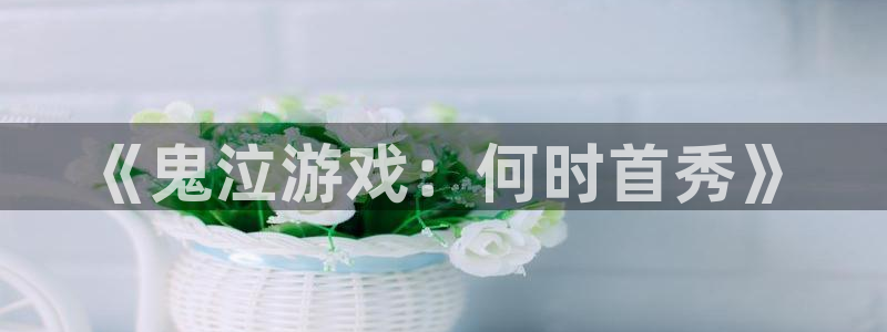 新城平台注册公司流程及费用