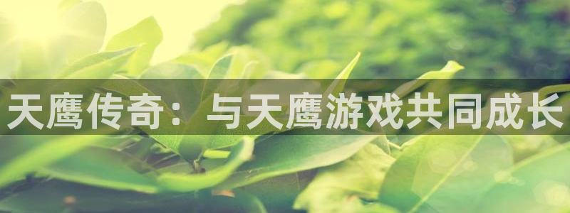 新城平台平台：天鹰传奇：与天鹰游戏共同成长