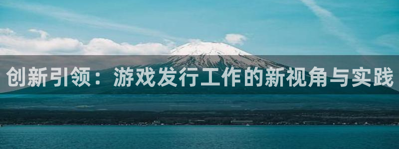 新城平台官网首页网址：创新引领：游戏发行工作的新视角与实践