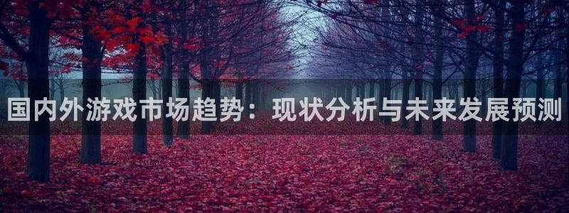 新城平台主管：国内外游戏市场趋势：现状分析与未来发展预测
