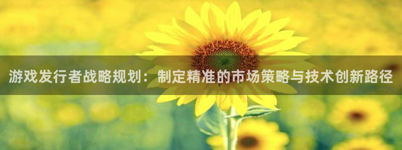 新城平台负责人是谁：游戏发行者战略规划：制定精准的市场策略与技术创新路径