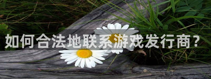 新城平台线路登录不上去怎么回事：如何合法地联系游戏发行商？