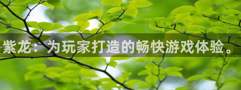 新城平台官网注册账号：紫龙：为玩家打造的畅快游戏体验。