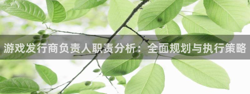 新城平台注册网址