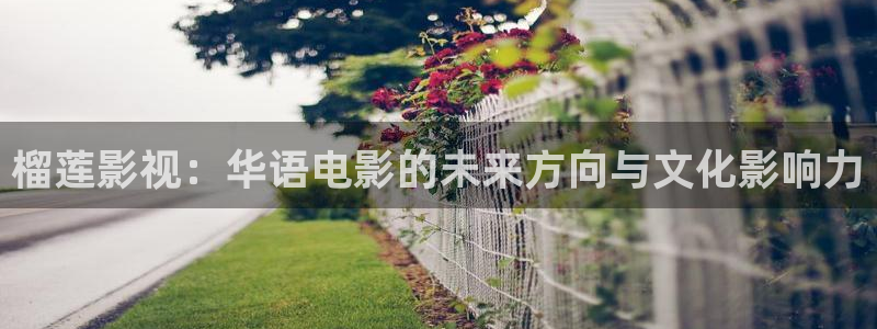 苹果电影.：榴莲影视：华语电影的未来方向与文化影响力