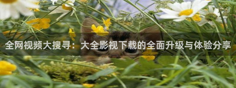 yy苹果影院：全网视频大搜寻：大全影视下载的全面升级与体验分享