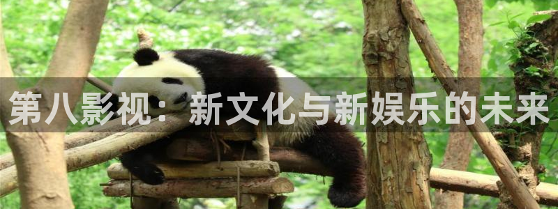 小小影视苹果：第八影视：新文化与新娱乐的未来