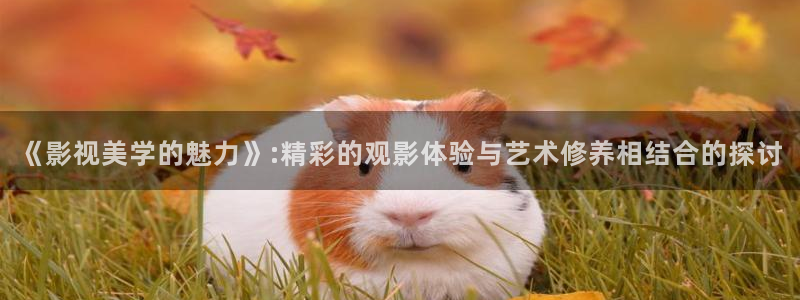 苹果神马影院：《影视美学的魅力》:精彩的观影体验与艺术修养相结合的探讨