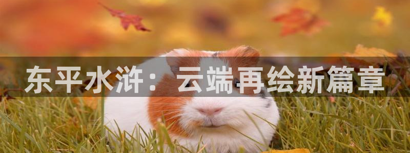 苹果 午夜影院：东平水浒：云端再绘新篇章