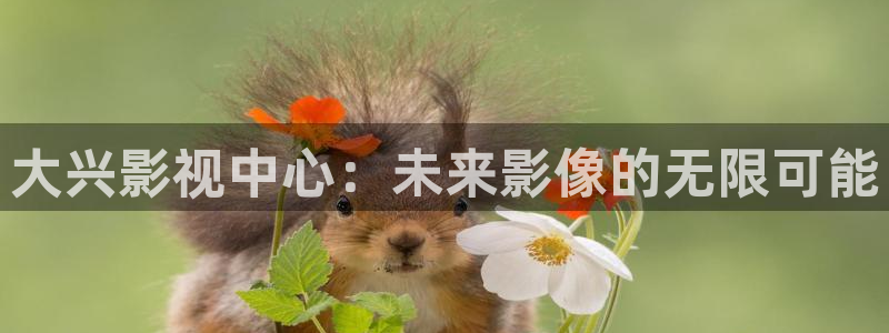 苹果 午夜影院：大兴影视中心：未来影像的无限可能
