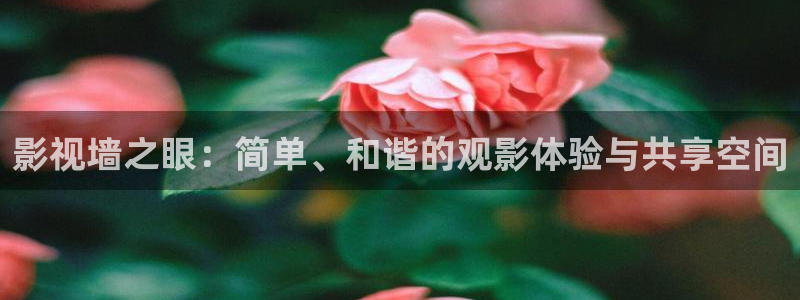 苹果理论电影：影视墙之眼：简单、和谐的观影体验与共享空间