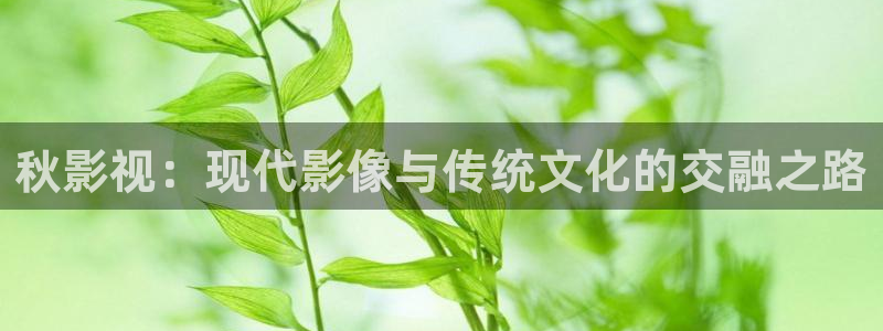 八一影院下载苹果：秋影视：现代影像与传统文化的交融之路