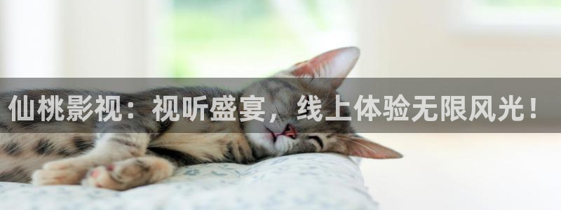 苹果影院免费观看：仙桃影视：视听盛宴，线上体验无限风光！